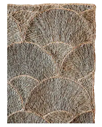 Abaca-5